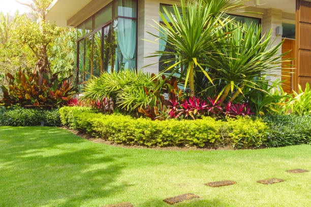 Garden Design And Landscaping Dublin