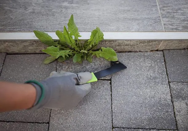 Paving grouting service Dublin